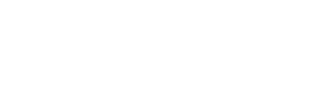 Sturdy SpeedIQ logo